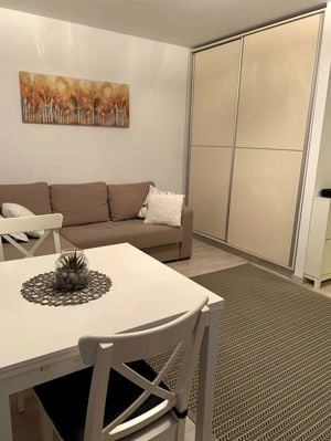 GARSONIERA - TINERETULUI, TERASA 15 MP, PET-FRIENDLY, METROU 8 MINUTE - imagine 2