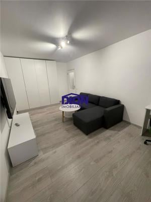 APARTAMENT 3 CAM VITAN, PRIMA INCHIRIERE - imagine 11