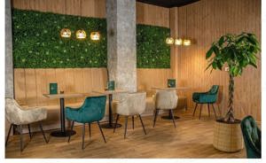 Canapele coltare paturi tapitate