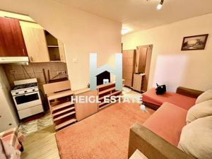 Apartament cu 2 camere,Sagului - imagine 3