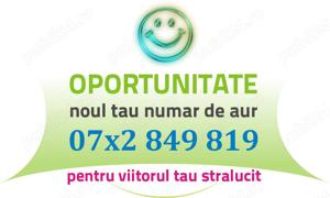 Numar VIP Gold - 07x2.849.819 - numere frumoase usoare cartela Platina Aur usor special deosebit