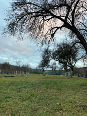 parcare rulote autorulote ambarcatiuni microbuze - imagine 2