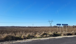 Vand teren intravilan  extravilan in Mares , Albota, judetul Arges - imagine 6