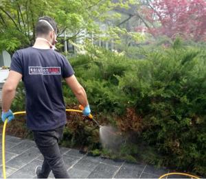 Operator servciii deratizare dezinsectie