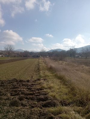 Teren intravilan de vânzare - imagine 9