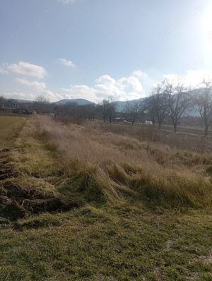 Teren intravilan de vânzare - imagine 10