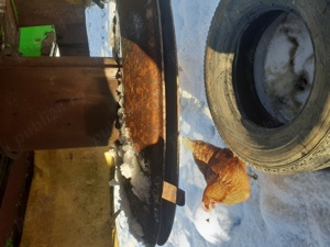 Coasa rotativa 1, 80