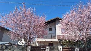 Proprietar - casa comuna Berceni an construcție 2015