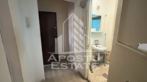 Apartament cu 2 camere, etaj intermediar, zona Sagului - imagine 5