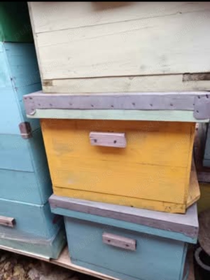 Stupi verticali ,preț negociabil 