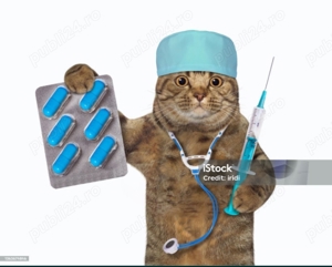 Tratament  medical la domiciliu 