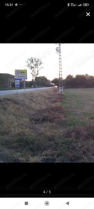 Teren de inchiriat ,suprafata 8400 m 2  in Carpinis Timis pe drumul DN 59A    - imagine 3