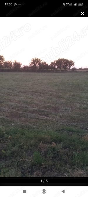 Teren de inchiriat ,suprafata 8400 m 2  in Carpinis Timis pe drumul DN 59A    - imagine 24