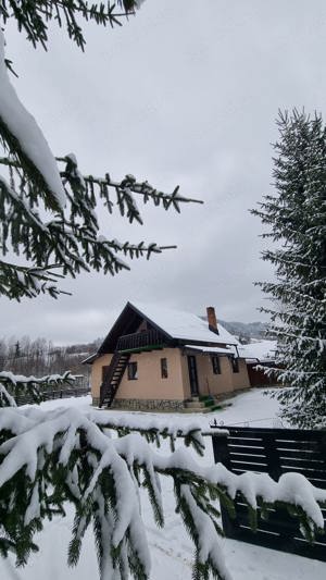 Casă Cabană de vânzare+4180 teren în Câmpulung Moldovenesc Bucovina  - imagine 2