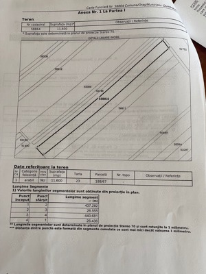 Teren 90000mp la strada Dumbrava Roșie Neamt - imagine 2