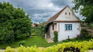 Caut casă de închiriat în lugoj urgent 