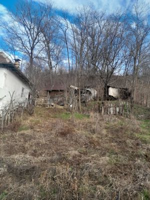 Casa de vânzare în balanesti com cozieni - imagine 3