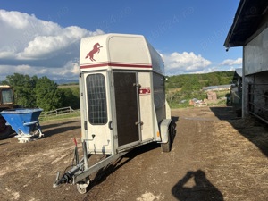 Remorca cai  transport animale