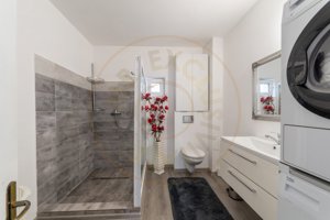 0% Comison Casa Draganu- DN 7-Pitesti-Valcea! - imagine 4