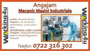 Mecanic Masini Industriale