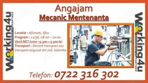 Mecanic Mentenanta