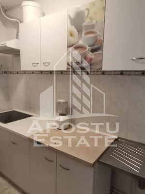 Apartament cu 2 camere, centrala proprie, etajul 1, zona Iosefin - imagine 6