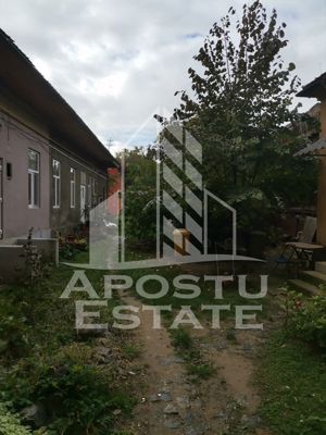 Apartament cu 2 camere, centrala proprie, etajul 1, zona Iosefin - imagine 7