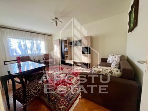 Apartament 3 camere,decomandat,Pet Friendly,zona Aradului - imagine 3