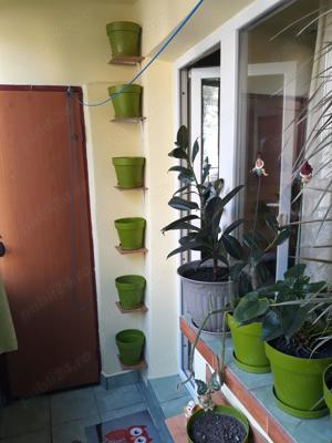 apartament 3 camere, zona Stomatologie, parter cu terasa - imagine 13