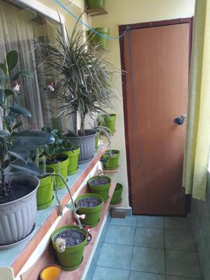 apartament 3 camere, zona Stomatologie, parter cu terasa - imagine 12