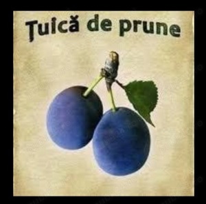 vand tuica de pruna 40 