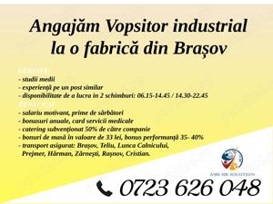 Angajăm Vopsitor industrial 