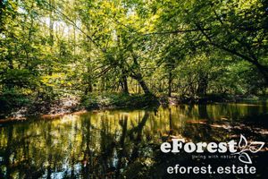 eForest casa de vacanta, intravilan, acces DN1A, Crevedia, jud Dambovita