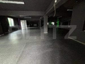 Spatiu comercial in suprafa de 300m2 - imagine 3