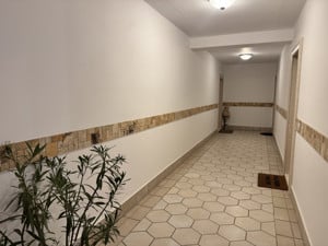 Apartament modern la marginea padurii - imagine 17