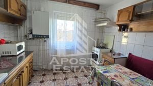 Apartament cu 2 camere, etaj 3, centrala proprie, zona Lipovei - imagine 4