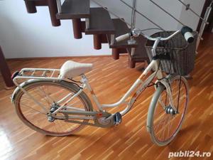 bicicleta Cross Picnic