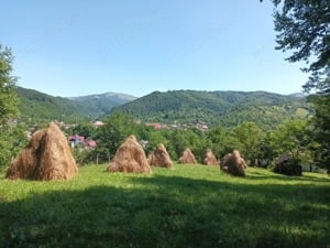 Vând teren Badeni Argeș 