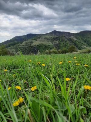 Vand teren zona de munte in Cacova Ierii si Ocolisel Cluj - imagine 5