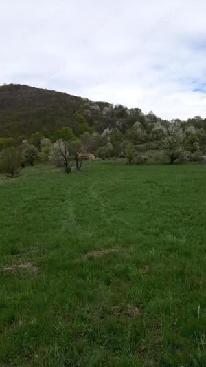 Vand teren zona de munte in Cacova Ierii si Ocolisel Cluj - imagine 2