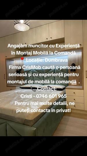 Angajăm muncitor cu experiență în montaj mobilă la comandă 