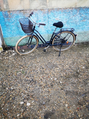 Bicicleta bitwin mare și rezistenta 