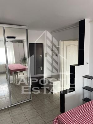 Apartament 2 camere, decomandat, centrala proprie, renovat, Freidorf. - imagine 10