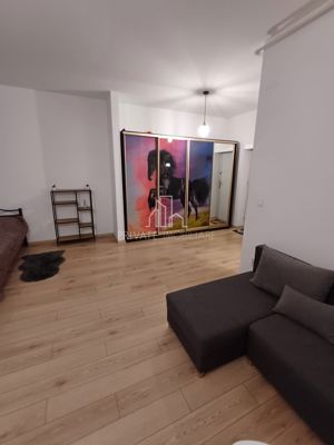 Apartament 1 camera, mobilat/Utlat, cu Parcare, Maurer - imagine 8