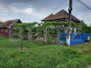 Casa de vanzare in Bogata de Mures - imagine 3