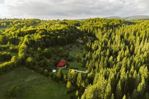 CASĂ DE VIS pensiune în Vârșag, Harghita - imagine 2