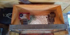 Cusca de interior pentru rozatoare, reptile sau animale mici - imagine 4