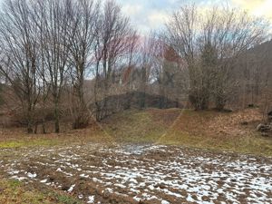 Teren 2,350mp Tarcau / Strada Cazaci , Punct Poiana Batrana