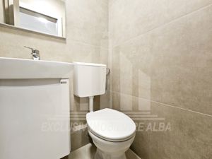 Apartament cu 3 camere decomandate, Cetate - imagine 4