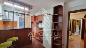 Apartament 2 camere, centrala proprie, bloc anvelopat, zona Lipovei - imagine 4